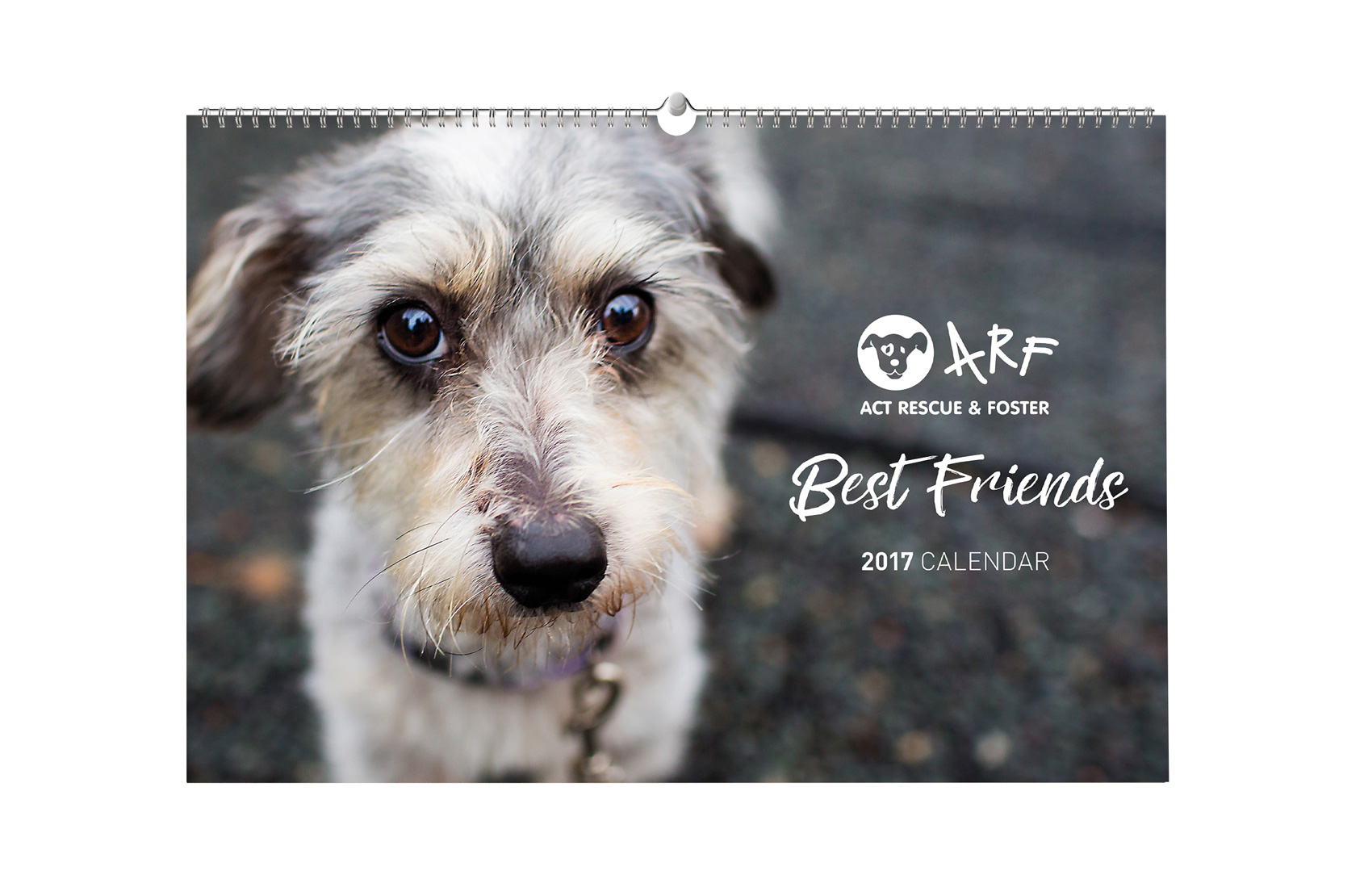 ARF Best Friends Calendar