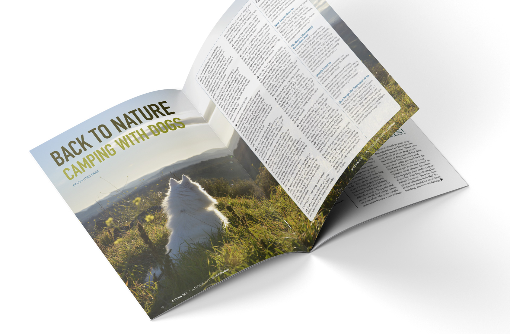 ARF Chinwag Magazine