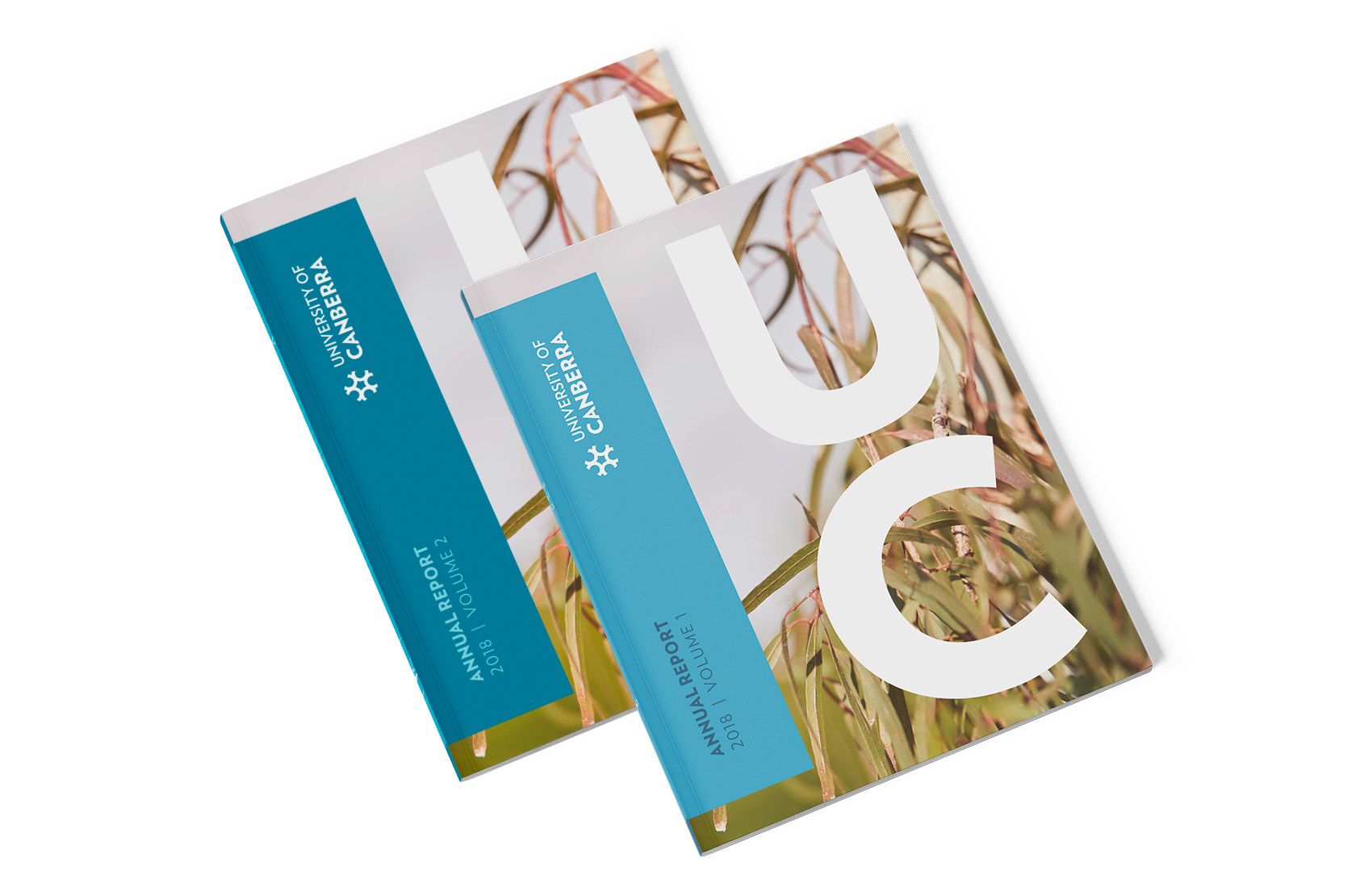 Annual Report Covers